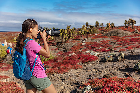 加拉帕戈斯游客拍摄北锡摩野生生物和景观照片图片