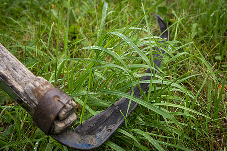 位于长湿绿草的铁丝网劳动工具农村干草村庄活动绿化草地割草机花园图片