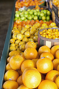 市场展示的橙子闭合水果杂货店食物焦点对象健康饮食商业生产前景棕榈图片
