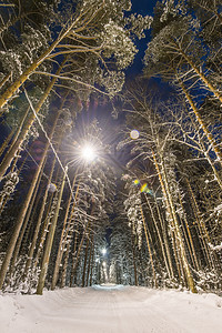 下雪覆盖的冬季森林公园木头暴风雪街道辉光场景蓝色天空小路季节图片