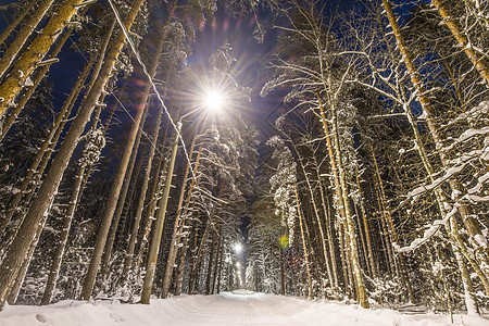 下雪覆盖的冬季森林季节场景街道天空小路降雪木头灯笼辉光公园图片