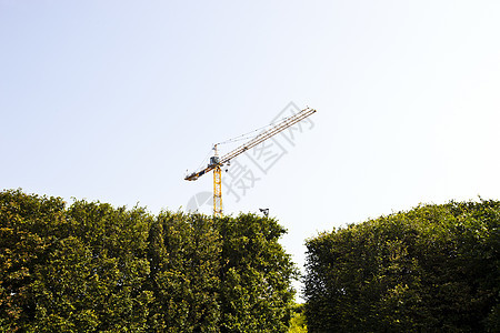 Crane 出现在绿色对冲上起重机大小生产房屋制造业高度天空建筑建造设备图片