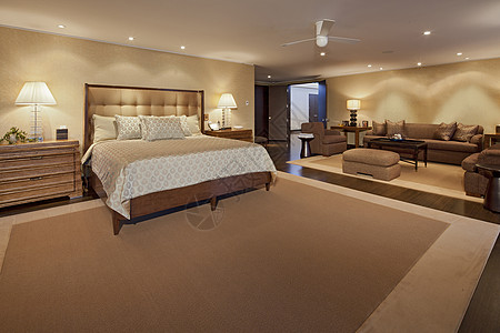 居室内内阁木材建筑学房间羽绒被小地毯枕头奢华家具家庭图片