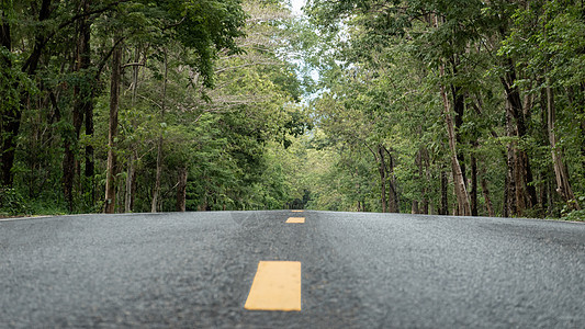 通向绿林的清空沥青路树木交通农村风景天空车道旅行路线森林街道图片