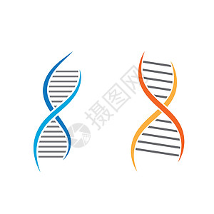 DNA 矢量图标图解设计染色体原子dna推介会化学实验室插图技术生物学科学图片