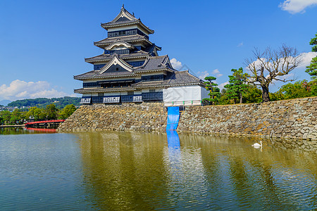 松本城堡城市城堡和桥梁地标历史护城河文化吸引力天鹅木头乌鸦防御建筑学图片