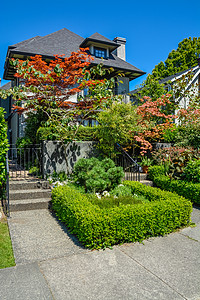 住宅院前院风景复杂 居住环境恶劣入口灌木丛蓝色家庭绿化园林装饰建筑风格财产图片