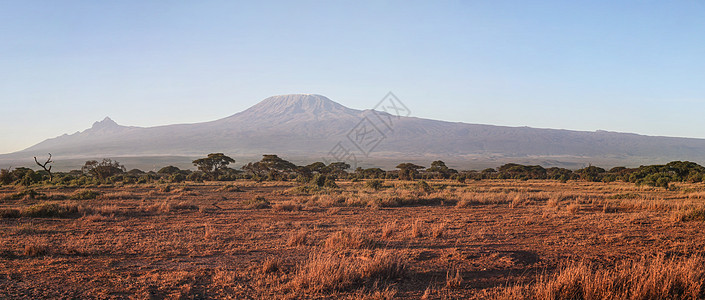 Amboseli国家公园全景 在Ba山有乞力马扎罗山图片