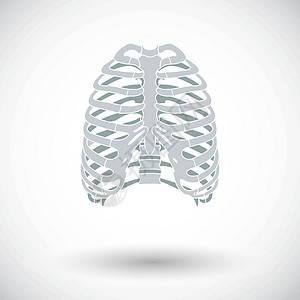 人类胸腔的图标身体卫生解剖学生活骨骼插图胸部胸骨科学疼痛图片