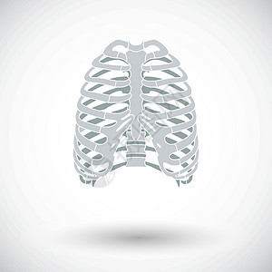 人类胸腔的图标身体卫生解剖学生活骨骼插图胸部胸骨科学疼痛图片