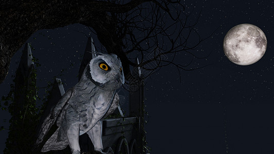 一只猫头鹰坐落在蓝月光下一棵树上 在陵墓附近羽毛3d夜猫子寓言想像力黄眼睛植物黑暗捕食者动物图片
