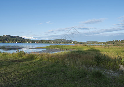 在瑞典地区的市的湖上漫游 夏日阳光明媚 蓝天背景蓝色房子海岸港口村庄旅行爬坡天空时段黄金图片