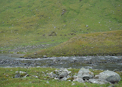 拉普兰冰川河和北部驯鹿群在岩石状绿色山坡上放牧图片