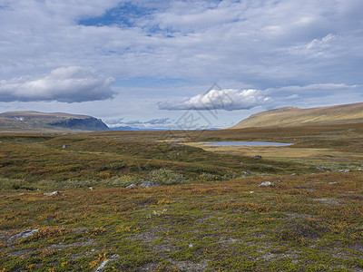 拉普兰风景与蓝湖 在瑞典Saltoluokta附近的Kungsleden徒步小径上雪盖山峰 野生自然与秋色灌木 树枝和厚度相伴 图片