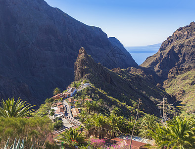 加那利岛 Tenerife关于老石屋 棕榈树 美满绿色尖尖山 悬崖 海平面和蓝天空背景的马斯卡村坑岩洞观图片