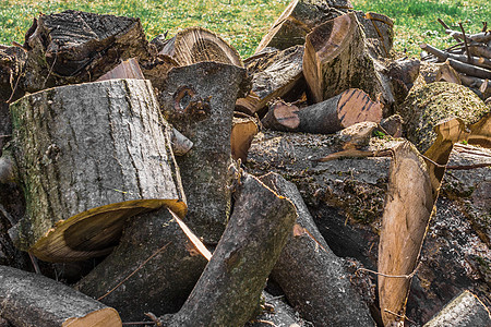 被砍的木柴材料木片森林服务树脂树桩樵夫男性体育锻炼斧头图片