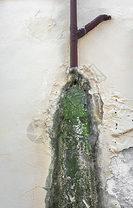 墙上涂有磨制和剥皮油漆绿色湿度哮喘排水沟霉菌过敏水泥建筑学装修模具图片