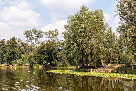 墨西哥城Xochimilco的Cuemanco运河景观 平静的河流 河水从森林中流过春天热带游客冒险拉丁城市异国蔬菜情调场景追求图片