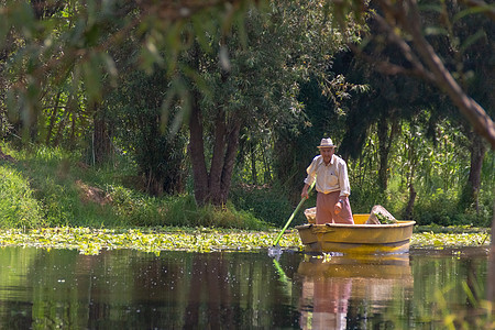 墨西哥城Xochimilco的Cuemanco运河景观 平静的河流 河水从森林中流过春天拉丁热带花园场景追求游客蔬菜城市情调血管图片