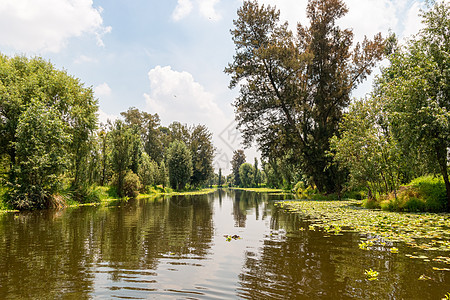 墨西哥城Xochimilco的Cuemanco运河景观 平静的河流 河水从森林中流过春天异国旅行城市追求游客蔬菜拉丁血管花园冒险图片