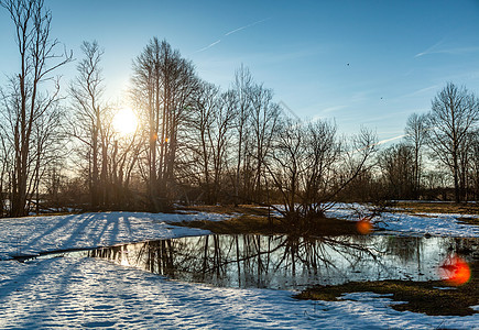 洪水淹没的树木和冰冻的水 在河口的洪泛地带植物池塘沼泽旅游木头荒野反射树干白色季节图片