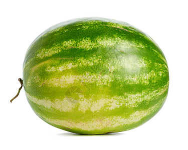 整个圆环西瓜绿条条纹 孤立在白色的后腹角上尾巴浆果营养水果食物圆形圆圈甜点图片