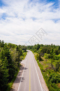 空的双车道路穿过森林图片