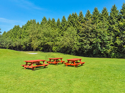 公园绿草坪上有红色野餐桌的休息区家具闲暇草地假期民众哨子树木长椅桌子野餐图片