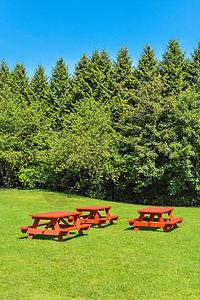 公园绿草坪上有红色野餐桌的休息区营地野餐林地旅游花园长椅娱乐旅行家具木头图片