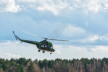 MI-2型直升机控制了森林Bel的飞越飞行图片