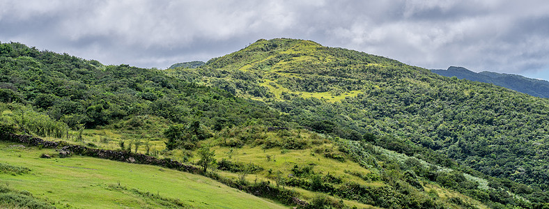 美丽的草原 川川谷 高林山的草原种植园森林旅行天空土地晴天顶峰爬坡场地公园图片