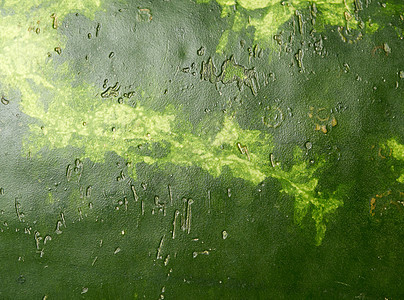 绿条形西瓜纹理 全框架皮肤浆果绿色甜点农业水果食物条纹营养健康图片