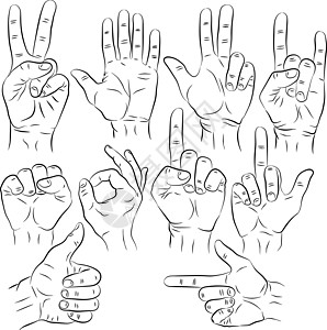 在白色背景孤立的矢量插图上 用不同的手握不同手势的情感和符号食指协议指甲身体收藏拇指问候语注意力信号指针图片