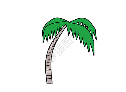 棕榈树热带绿色插图灰色背景图片