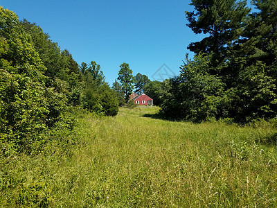 红屋 绿草地和树木图片