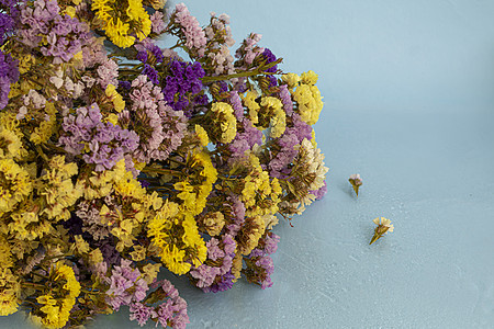 一个透明的花瓶 灰色背景上插着新鲜采摘的五颜六色的野花 花采自大自然 选择性的焦点花瓣场地绣球花公园花粉石头树叶昆虫花园墙纸图片