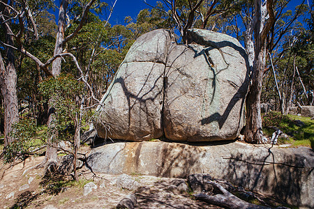 澳大利亚维多利亚州亚历山大区域公园地区风景山农业场地岩石蓝色地面天空树木环境农村地平线图片