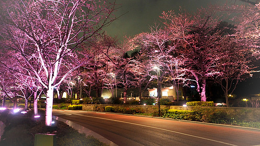 夜里在东京市中心罗蓬吉Roppongi乘客景点城市游客街道观光樱花交通节日风景图片