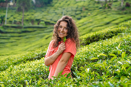 美丽的黑发女孩出现在茶谷中间 绿色茶叶灌木丛之间的位置上生长旅行场地农业女性阳台爬坡农场农田热带图片