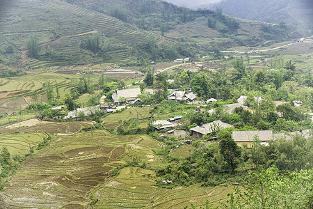 越南西北部老蔡省萨帕山Sapa 水田田梯田农场绿色食物阳台农业文化场地植物风景场景图片