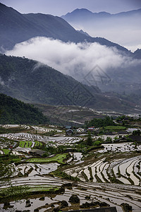 越南西北部老蔡省萨帕山Sapa 水田田梯田种植山脉梯田农民旅行浇水阳台旅游领域栽培图片