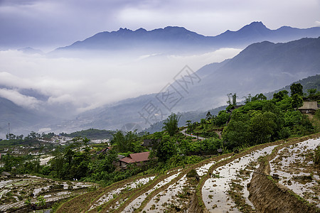 越南西北部老蔡省萨帕山Sapa 水田田梯田旅行山脉农业阳台栽培领域梯田灌水稻田少数民族图片