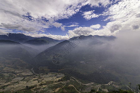 越南西北部老蔡省萨帕山Sapa 水田田梯田农业领域水牛山脉准备旅行种植旅游稻田少数民族图片