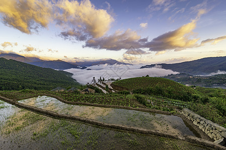 越南西北部老蔡省萨帕山Sapa 水田田梯田水稻准备种植旅游稻田灌水农业季节浇水播种图片