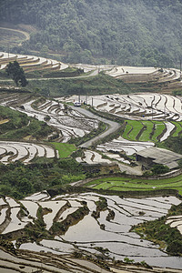 越南西北部老蔡省萨帕山Sapa 水田田梯田水稻季节土壤旅行种植栽培准备稻田播种农民图片