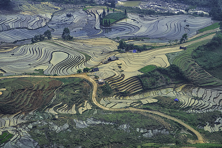 越南西北部老蔡省萨帕山Sapa 水田田梯田栽培水稻梯田土壤准备种植灌水阳台季节农民图片