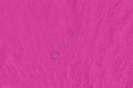 焦点模糊的粉粉花瓣紫色红色粉红色粉色白色玫瑰背景图片