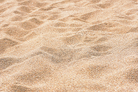 在沙滩上撒沙质地粮食热带材料纹理地面背景墙纸自然沙丘图片
