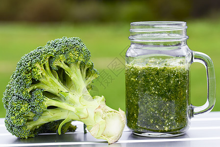 脱毒芹菜养分草本植物水果玻璃活力香菜南瓜种子黄瓜图片