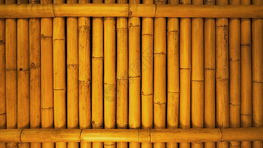 古老的肮脏竹子背景墙 从真实的本质森林风格植物丛林生长黄色圆形正方形木头装饰图片